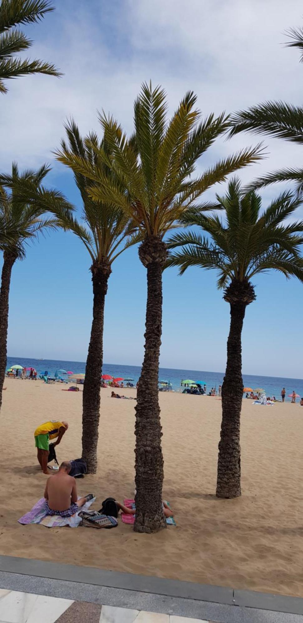 Appartamento Benidorm Beach Esterno foto